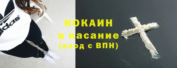 сатива Протвино