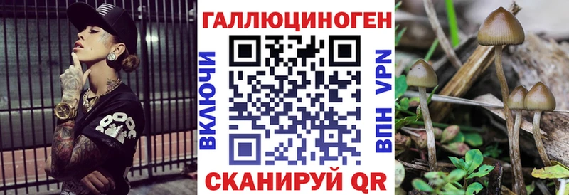 Псилоцибиновые грибы Psilocybine cubensis  наркошоп  Суоярви 